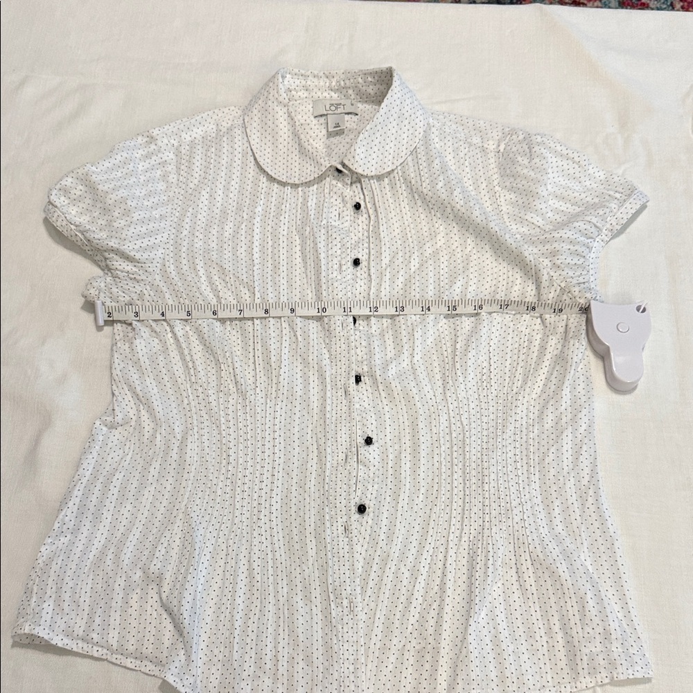LOFT White and Black Button Down Shirt